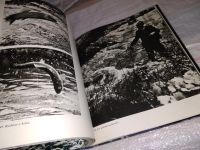 Лот: 14341851. Фото: 10. Jan Duben , Jozef Kroner...