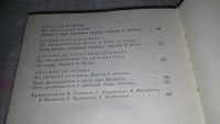 Лот: 7931051. Фото: 13. Европейская новелла Возрождения...