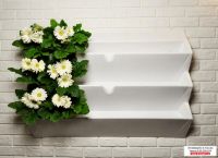 Лот: 7862335. Фото: 4. Фитомодуль 104х67 см для вертикального... Красноярск