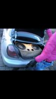 Лот: 11438433. Фото: 2. Сабвуфер Crunch киловатт. Автозвук