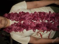 Лот: 1541760. Фото: 3. Вязаные шарфики. Одежда, обувь, галантерея