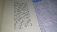 Лот: 11631609. Фото: 3. В поисках редких книг, Борис Челышев... Литература, книги
