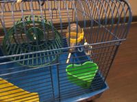 Лот: 10702186. Фото: 3. Клетка для грызунов. Растения и животные