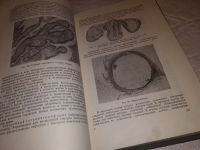 Лот: 5928544. Фото: 10. Учебник гинекологии, Вера Бодяжина...