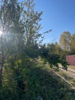 Лот: 24332313. Фото: 3. Участок. Недвижимость