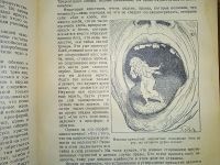 Лот: 23689617. Фото: 13. Лео Таксиль. Священный вертеп...