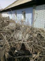 Лот: 11298613. Фото: 3. Дрова даром. Для дачи, дома, огорода, бани, парка