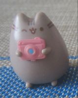 Лот: 25081240. Фото: 4. Кот Пушин Pusheen из шоколадных...