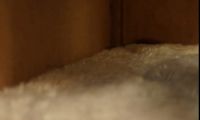 Лот: 10704577. Фото: 7. Дом для кота