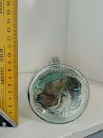 Лот: 17238862. Фото: 5. Бутылка женщина силуэт кошка по...