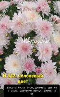 Лот: 18390336. Фото: 7. Наборы хризантем 15 штук