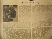 Лот: 16999006. Фото: 3. Журнал Охотник. * № 11 Ноябрь... Коллекционирование, моделизм
