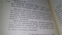 Лот: 11742032. Фото: 2. ок...Комнатные растения: друзья... Наука и техника