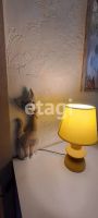 Лот: 25288794. Фото: 3. 2-комн. квартира , Красноярск... Недвижимость