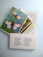 Лот: 20078445. Фото: 2. Комплект открыток "Бабочки" выпуск... Открытки, билеты и др.