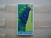 Лот: 21374002. Фото: 2. Ретро Марка: Болгария. Dryocopus... Коллекционирование, моделизм