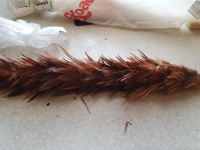 Лот: 20334040. Фото: 3. перо. Туризм, охота, рыбалка, самооборона