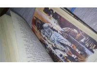 Лот: 4399219. Фото: 8. Ралли "Конская голова", Сборник...