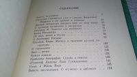 Лот: 11715509. Фото: 3. Старое и новое, Виктор Шкловский... Литература, книги