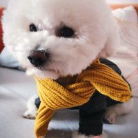 Лот: 10698367. Фото: 4. Весенний шарф одежда для собак... Красноярск