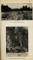 Лот: 14469111. Фото: 8. Яворский В.И. и Карпов Н.Ф. Береговые...