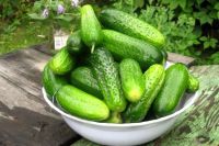 Лот: 14485013. Фото: 2. Огурцы. Продукты