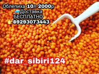 Лот: 9892861. Фото: 2. Клубника,Черника,брусника,грузди... Продукты