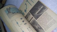 Лот: 10684132. Фото: 3. ок (01..04) Рыболов-спортсмен... Литература, книги
