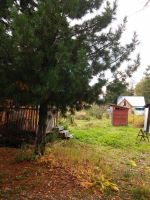 Лот: 10069446. Фото: 7. Дача в Еловке