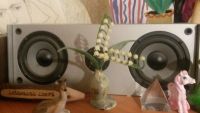 Лот: 5737636. Фото: 7. Домашний игровой компьютер в сборе...