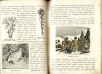 Лот: 22171640. Фото: 7. Г.И. Иванов. Начальный курс географии...