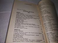 Лот: 17928587. Фото: 3. Достоевский, Ф.М. Дневник писателя... Красноярск