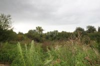 Лот: 25298473. Фото: 17. участок , деревня Терентьево деревня...
