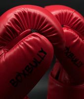 Лот: 14111991. Фото: 2. Боксерские перчатки Boxbully... Обмундирование и экипировка