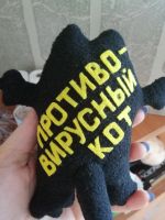 Лот: 15847989. Фото: 4. Противовирусный кот + гречка и... Красноярск