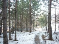 Лот: 4793967. Фото: 4. Земельный участок под ИЖС. Красноярск