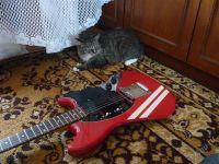 Лот: 2127246. Фото: 3. 1976 tomson japan vintage mustang... Музыкальные инструменты и оборудование