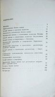 Лот: 19837536. Фото: 3. Белый камень. Викторов А.М., Звягинцев... Литература, книги