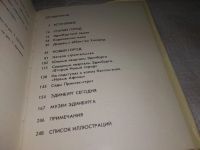 Лот: 5879554. Фото: 10. Людмила Воронихина, "Эдинбург...