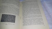 Лот: 11647768. Фото: 4. Профилактика глистных заболеваний... Красноярск