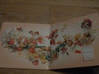 Лот: 11969013. Фото: 2. 2LP Bjork - "utopia". / Limited... Коллекционирование, моделизм