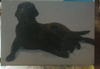 Лот: 25801549. Фото: 6. Календари (собачки)