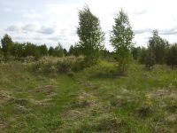 Лот: 5408471. Фото: 4. Земельный участок 10 соток ( обмен... Красноярск