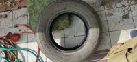 Лот: 19061486. Фото: 2. Покрышка Bridgestone. Шины, Диски