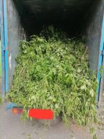 Лот: 10090079. Фото: 11. Вывоз мусора КамАЗ