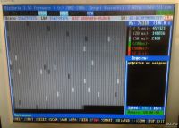 Лот: 9269192. Фото: 3. Жесткий диск WD800BB 80 Гб / 2МБ... Компьютеры, оргтехника, канцтовары