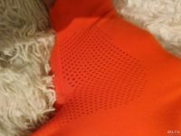 Лот: 13138054. Фото: 3. Adidas crafted for world champions. Одежда, обувь, галантерея