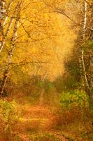 Лот: 8573684. Фото: 2. Юпитер 37a. Дешего. Фото, видеокамеры, оптика