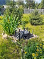 Лот: 19018963. Фото: 2. Ирис жёлтый высокий. Семена, рассада, садовые растения