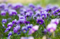 Лот: 1397399. Фото: 3. Canon 100 мм f/2.8 EF Macro USM... Красноярск